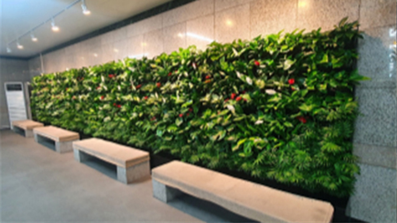 사진 제공 대구시