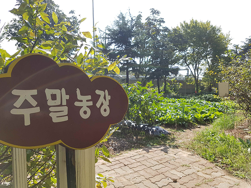 사진 제공 대구시