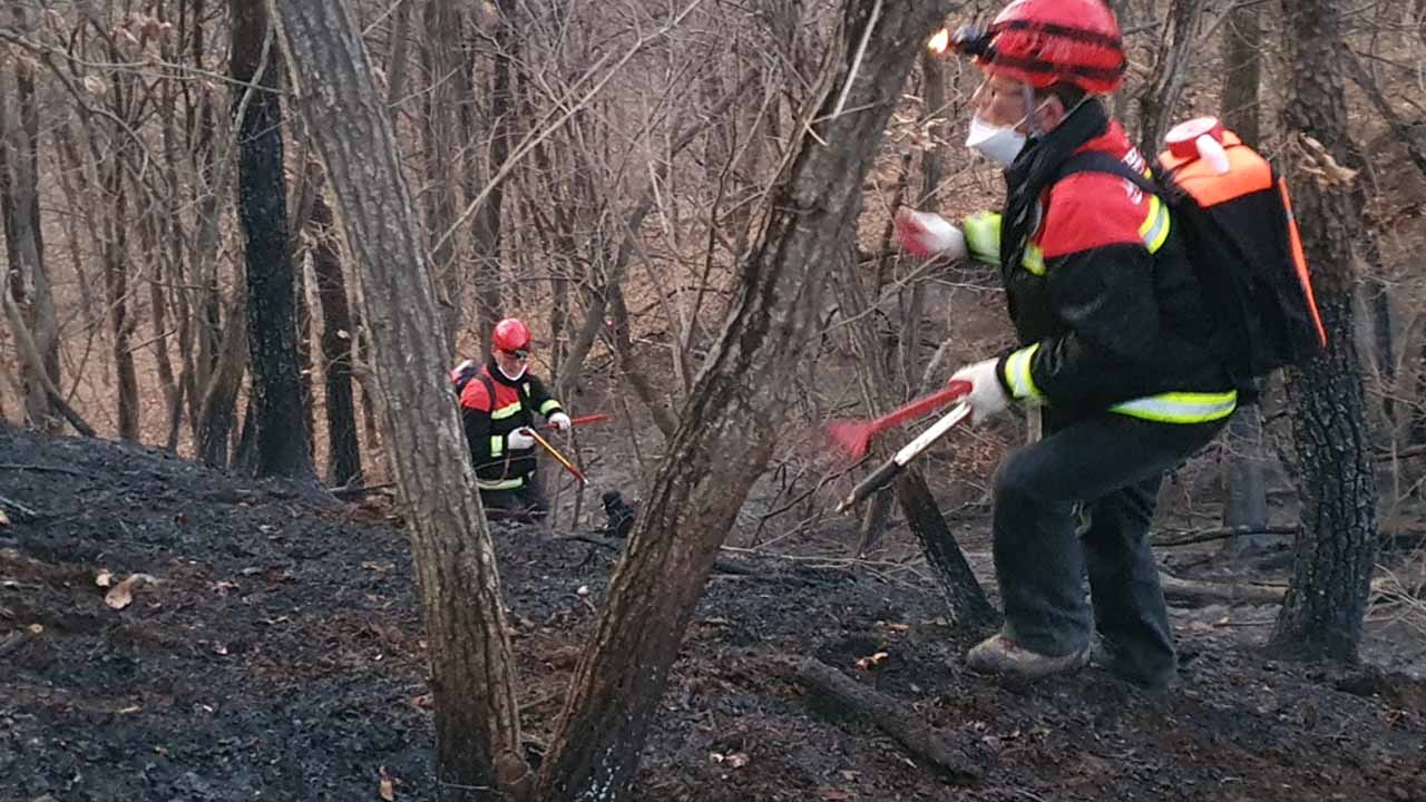 사진 제공 산림청