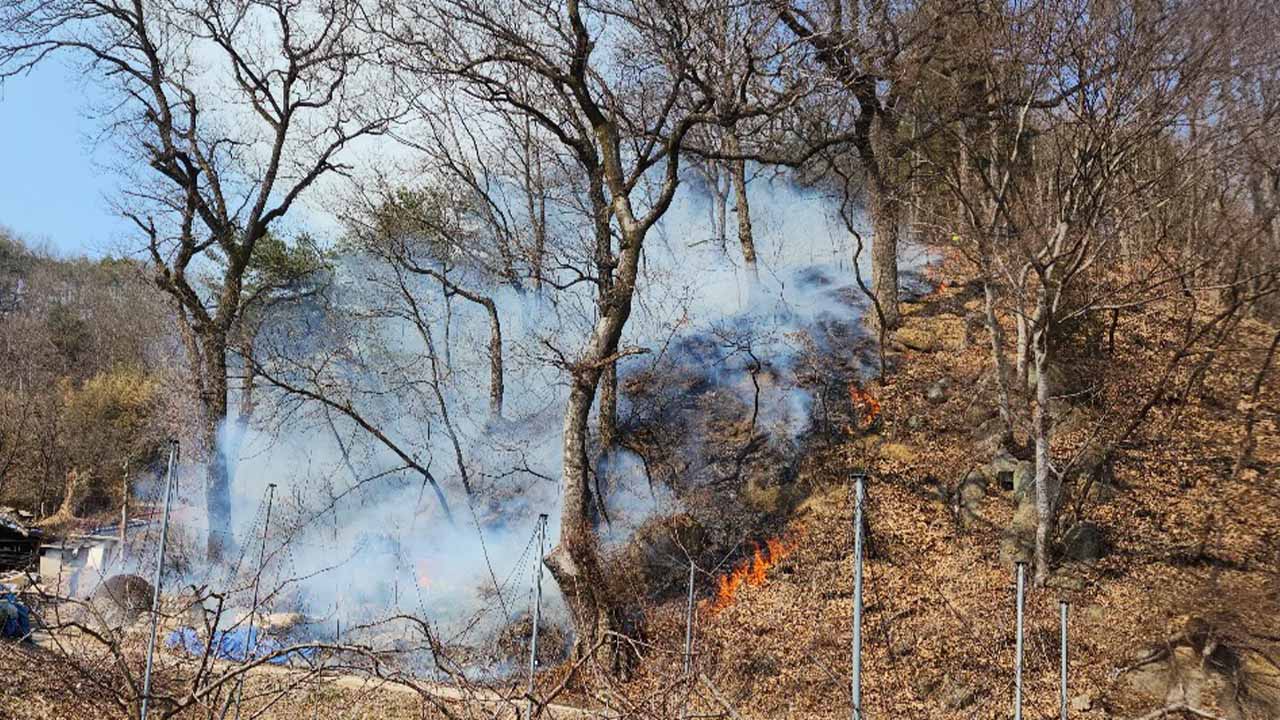 사진 제공 산림청