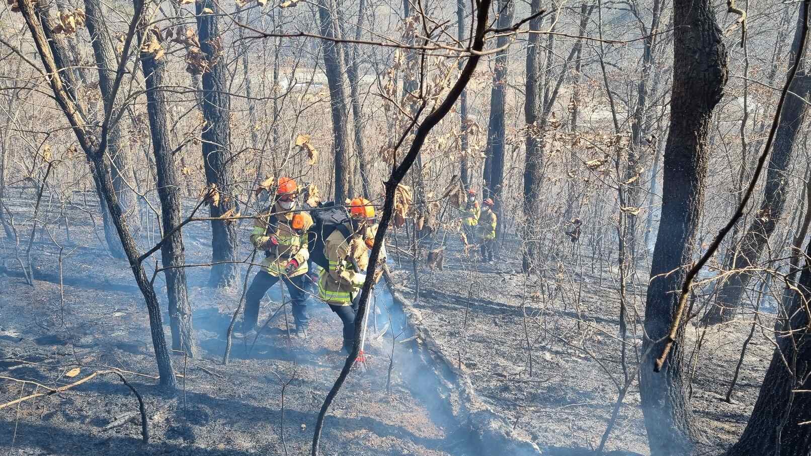 사진 제공 경북소방본부