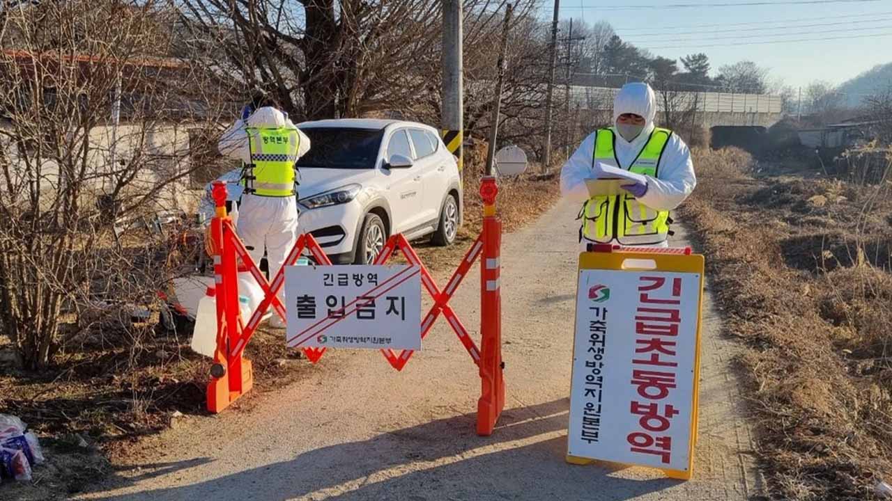 사진 제공 경북도