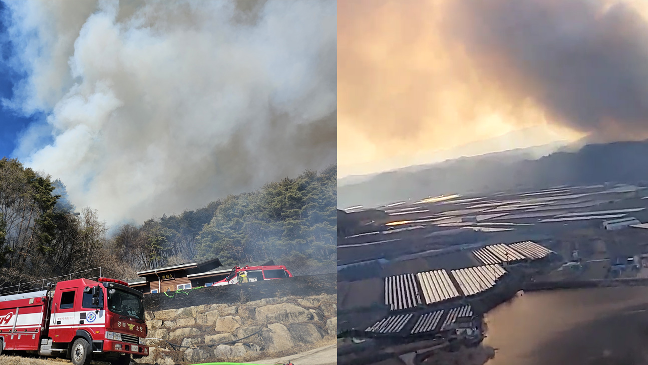 사진 제공 산림청, 경북소방본부