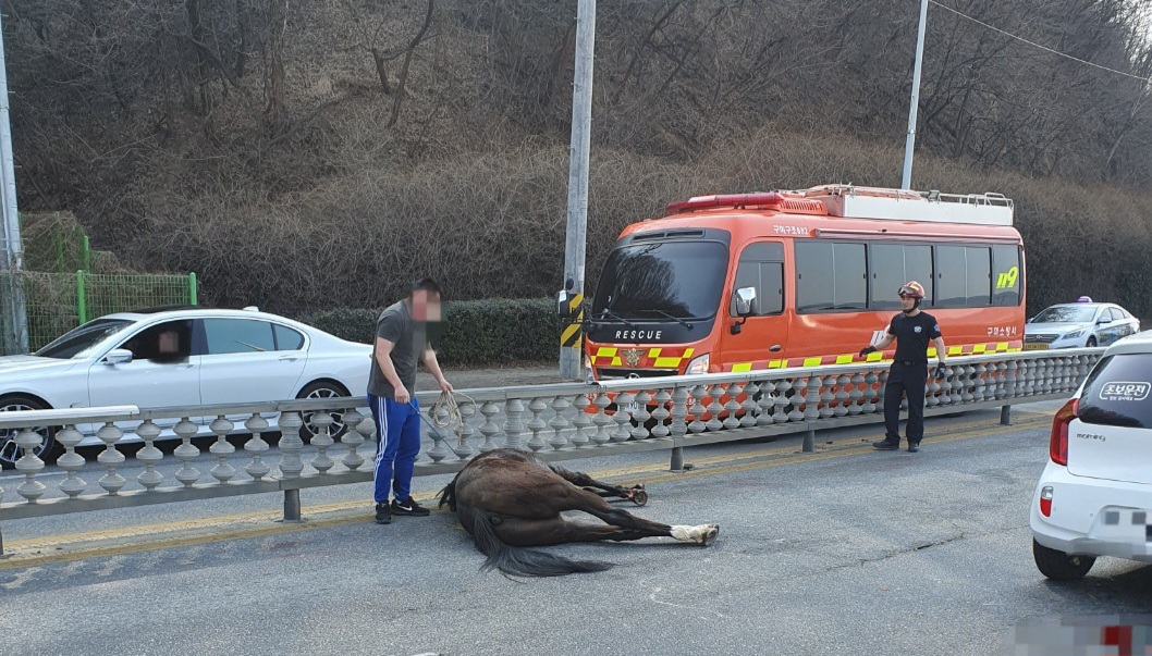 사진제공 : 경상북도소방본부