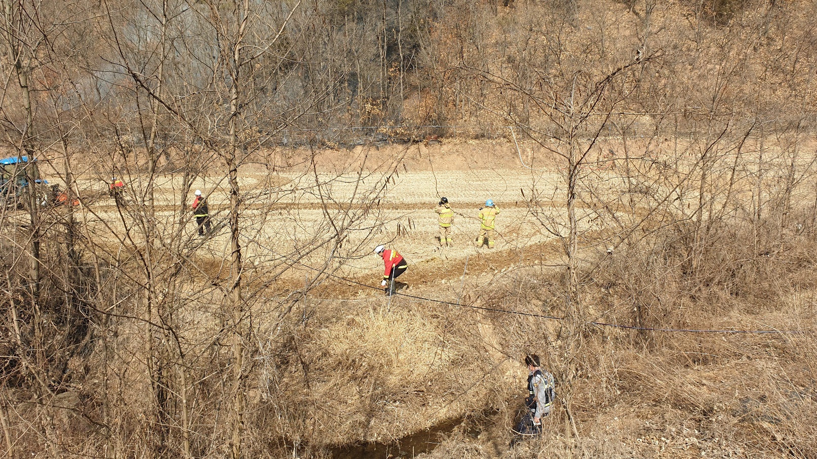 사진 제공 산림청