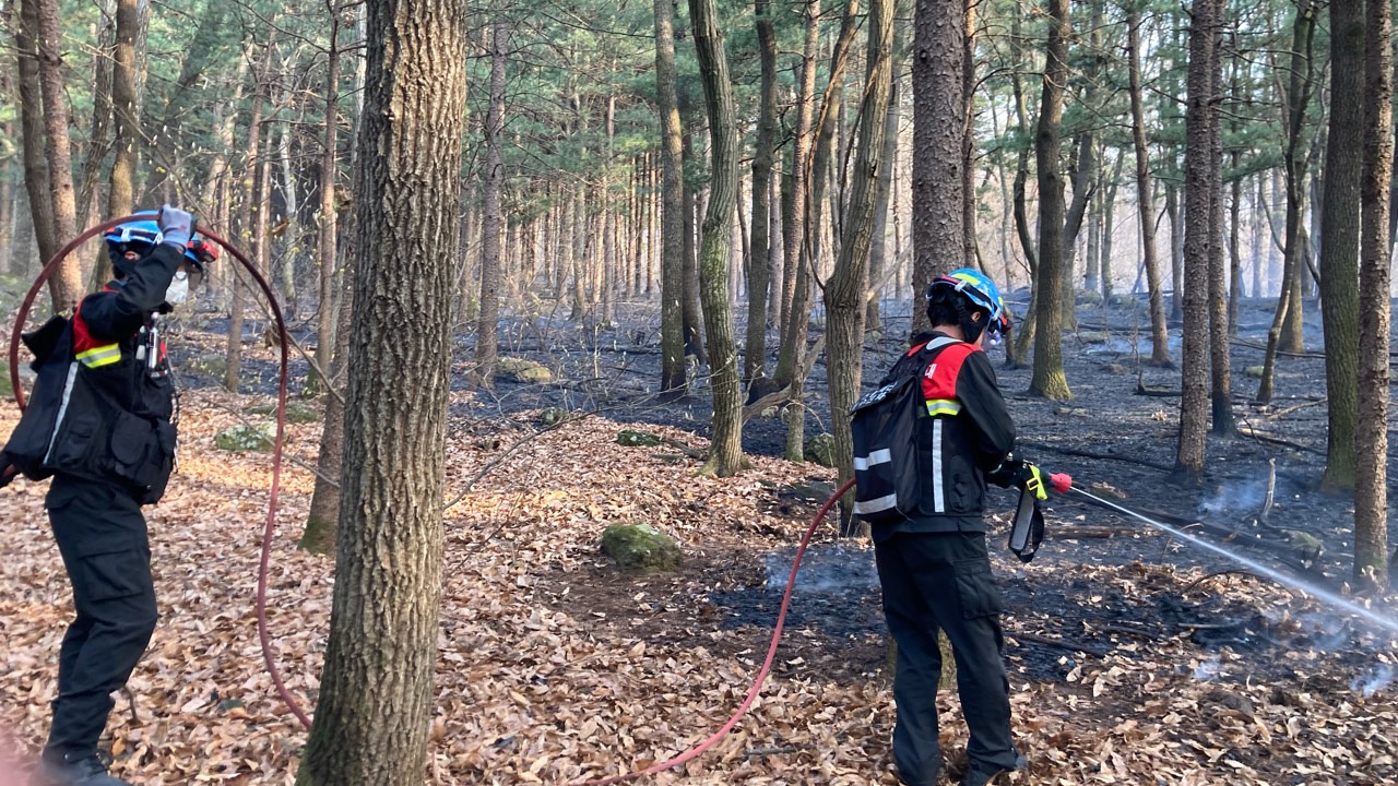 사진 제공 산림청