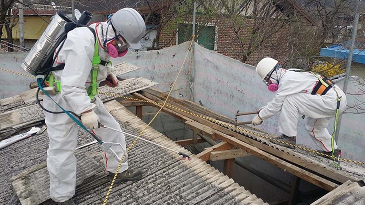 사진 제공 대구시