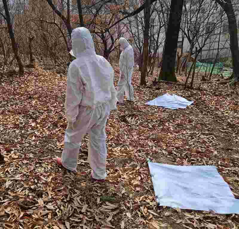 사진 제공 대구시