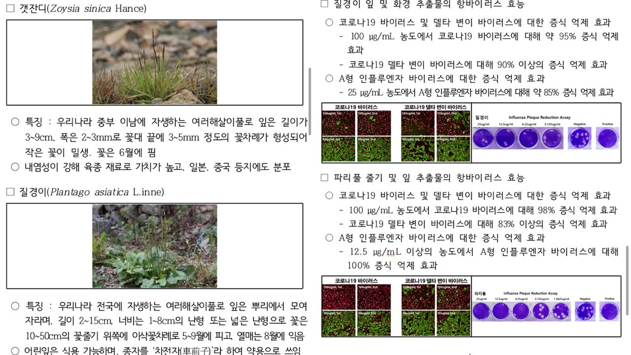 사진 제공 국립생물자원관