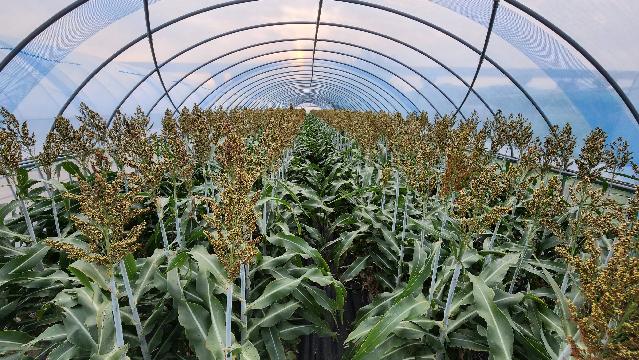 사진 제공 경상북도