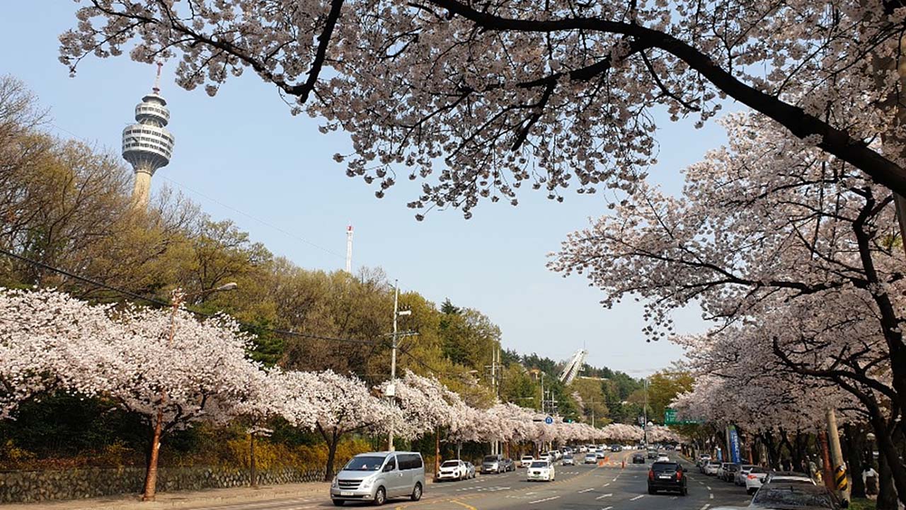 두류공원 (사진 제공 대구시)