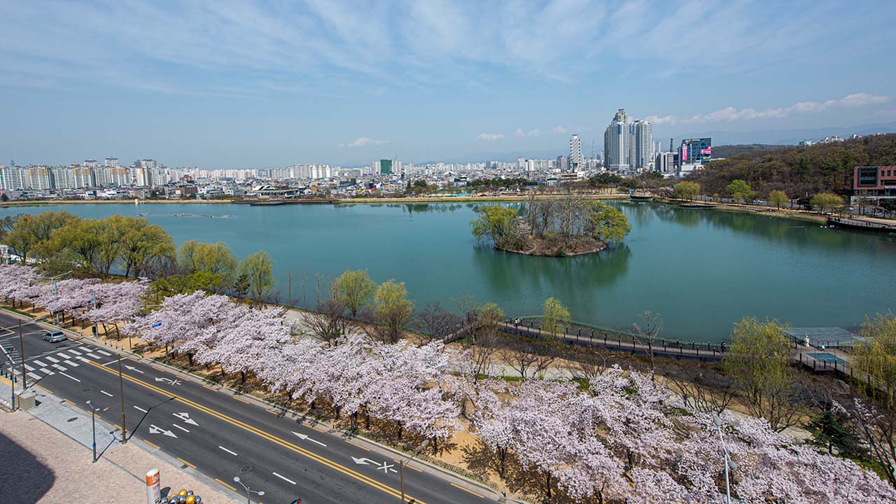 수성못 (사진 제공 대구시)