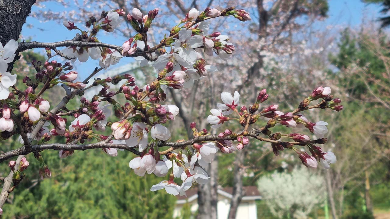 사진 제공 대구지방기상청