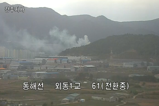 사진 제공 산림청