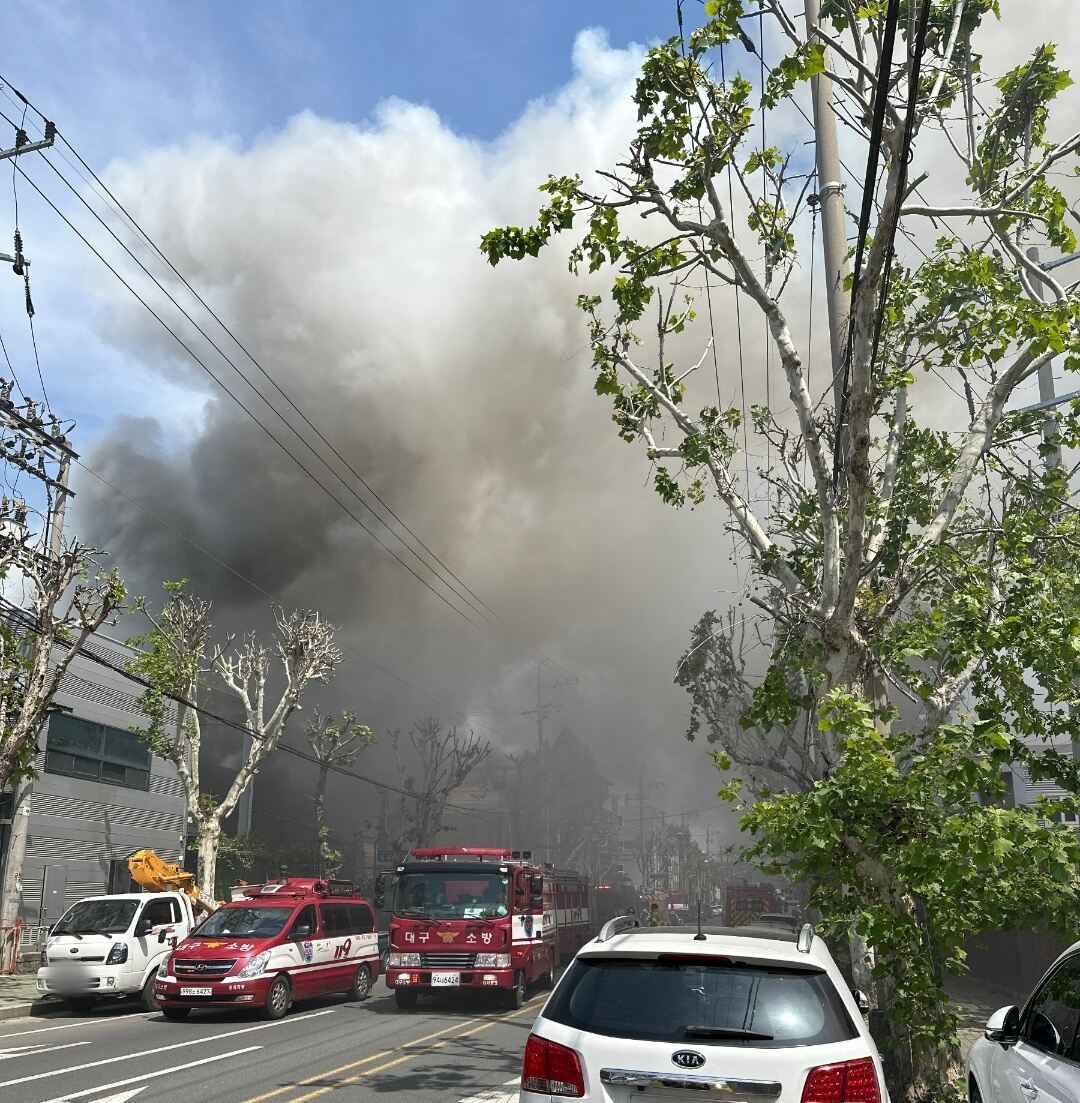 사진 제공 대구소방본부