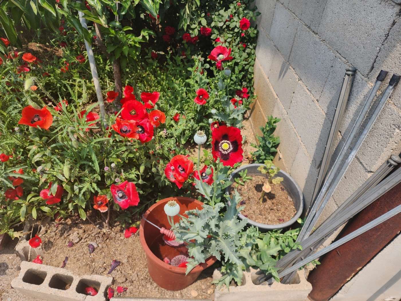 사진 제공 경북경찰청