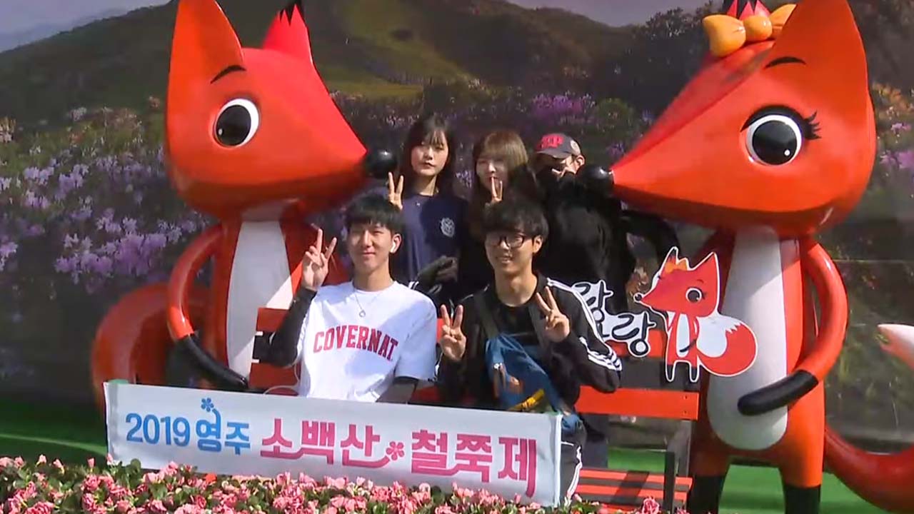 2019년 영주 소백산 철쭉제