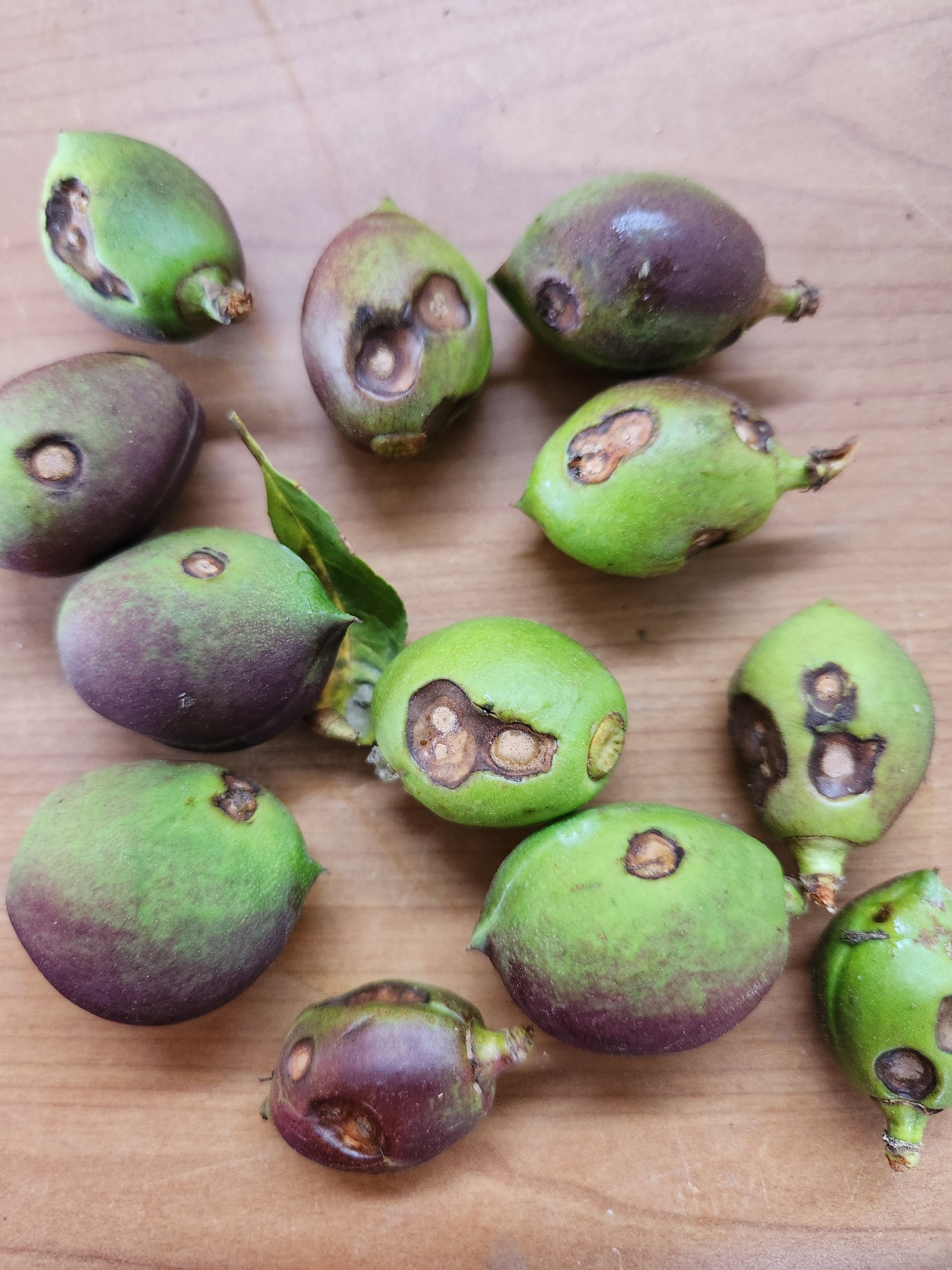 사진 제공 경상북도