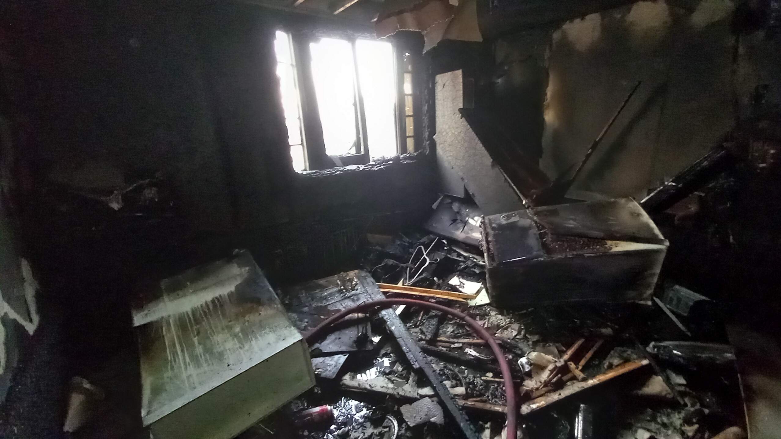 사진 제공 대구소방본부