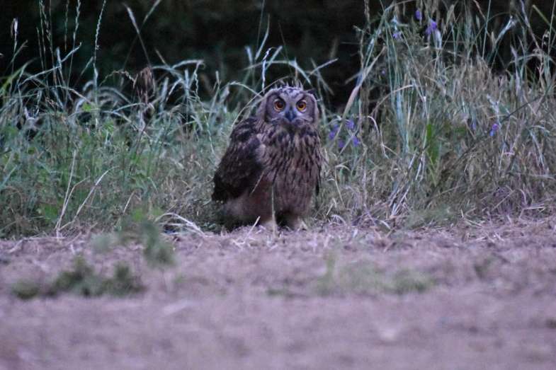 사진 제공 대구환경운동연합