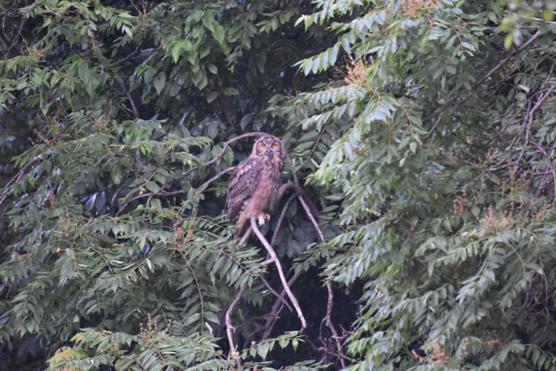 사진 제공 대구환경운동연합