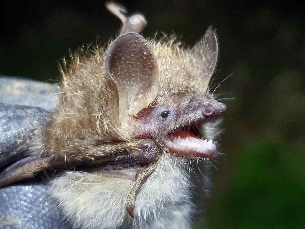 사진 제공 대구지방환경청
