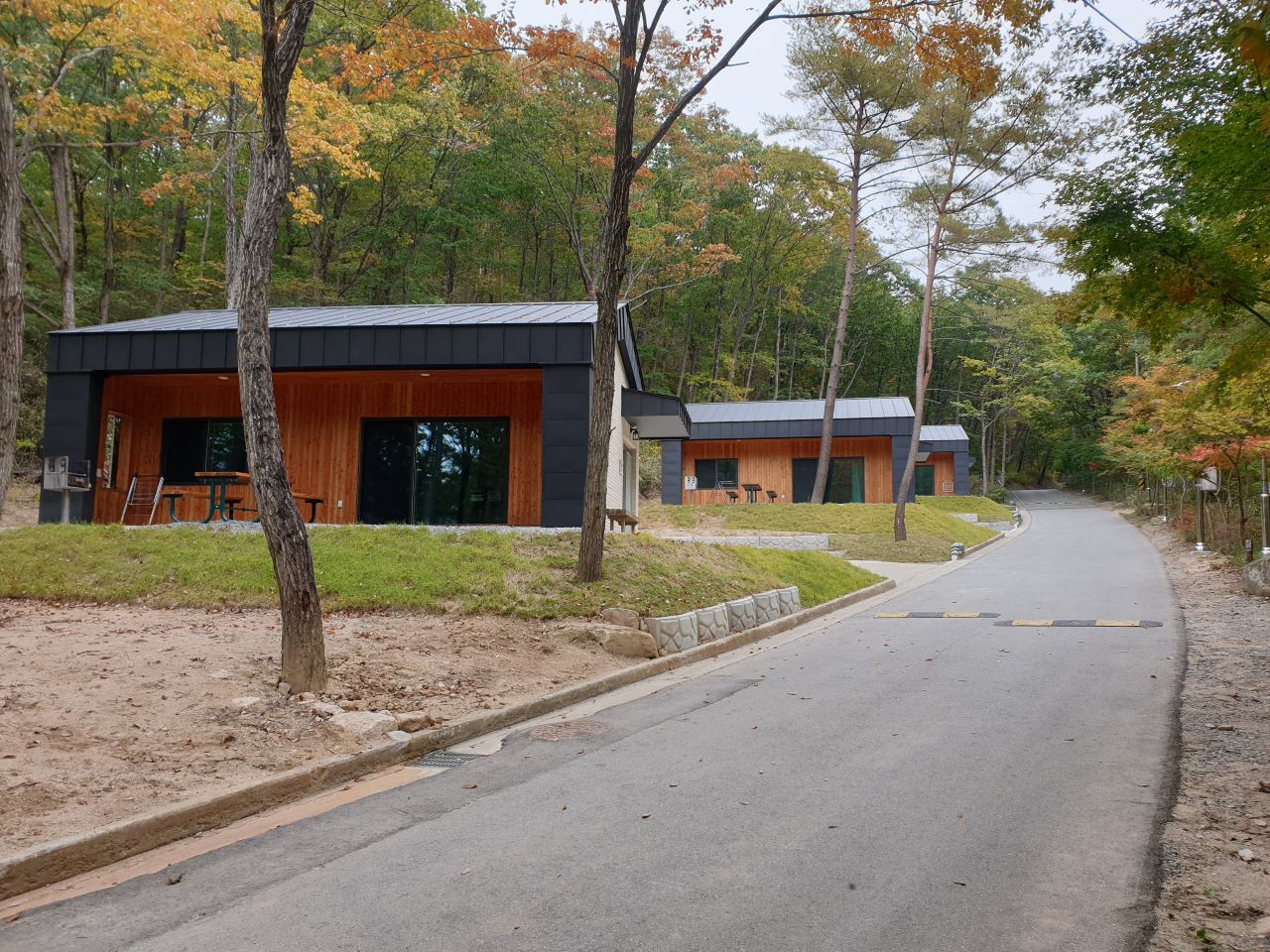 사진 제공 산림청