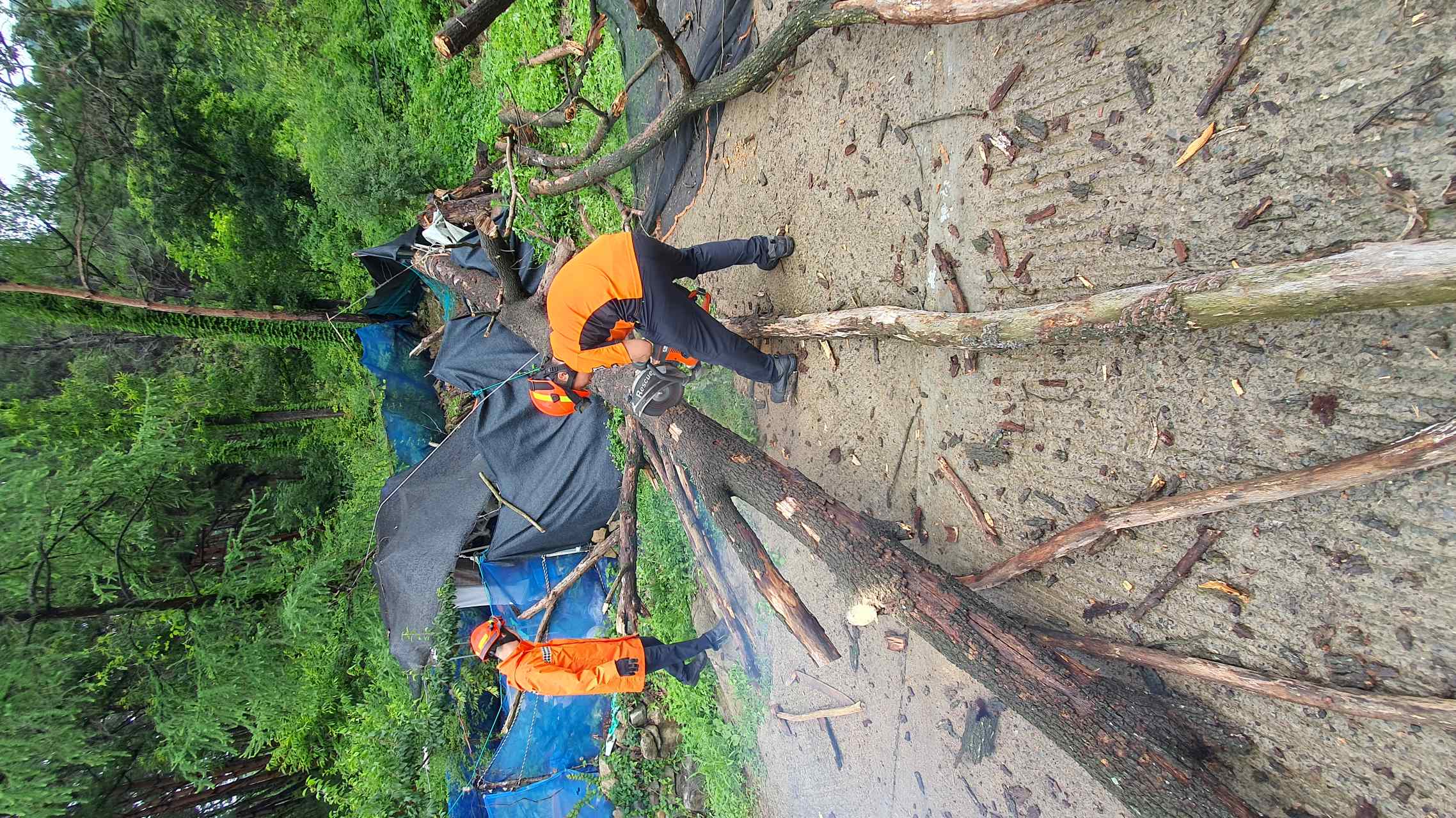 사진 제공 대구소방본부