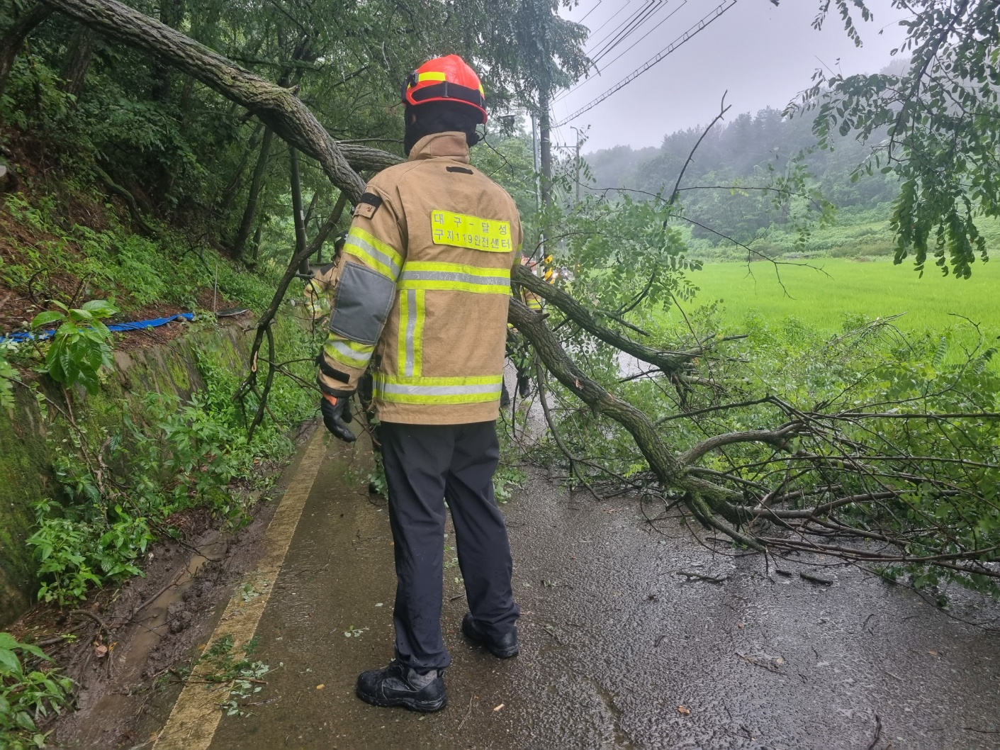 사진 제공 대구소방본부