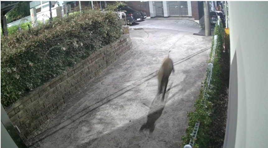 사진 제공 대구소방본부