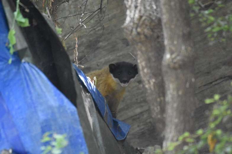 사진 제공 대구환경운동연합