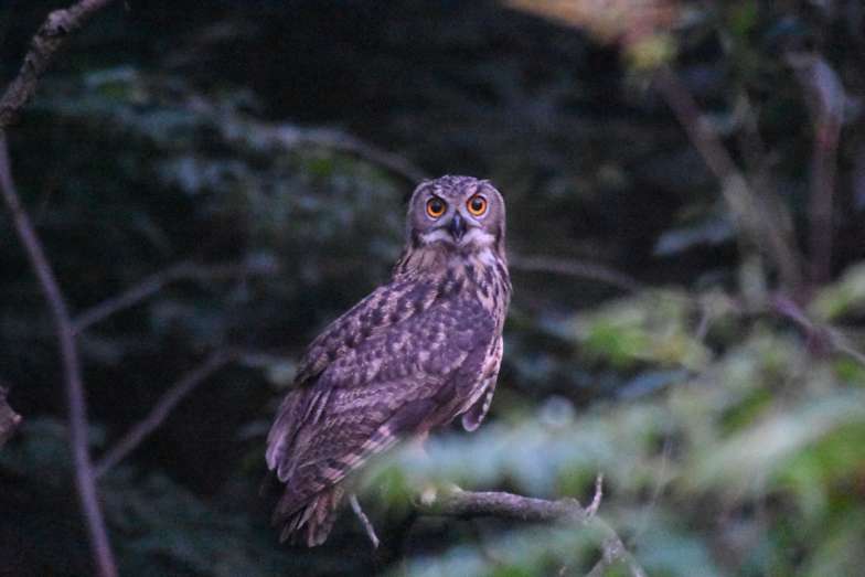 사진 제공 대구환경운동연합