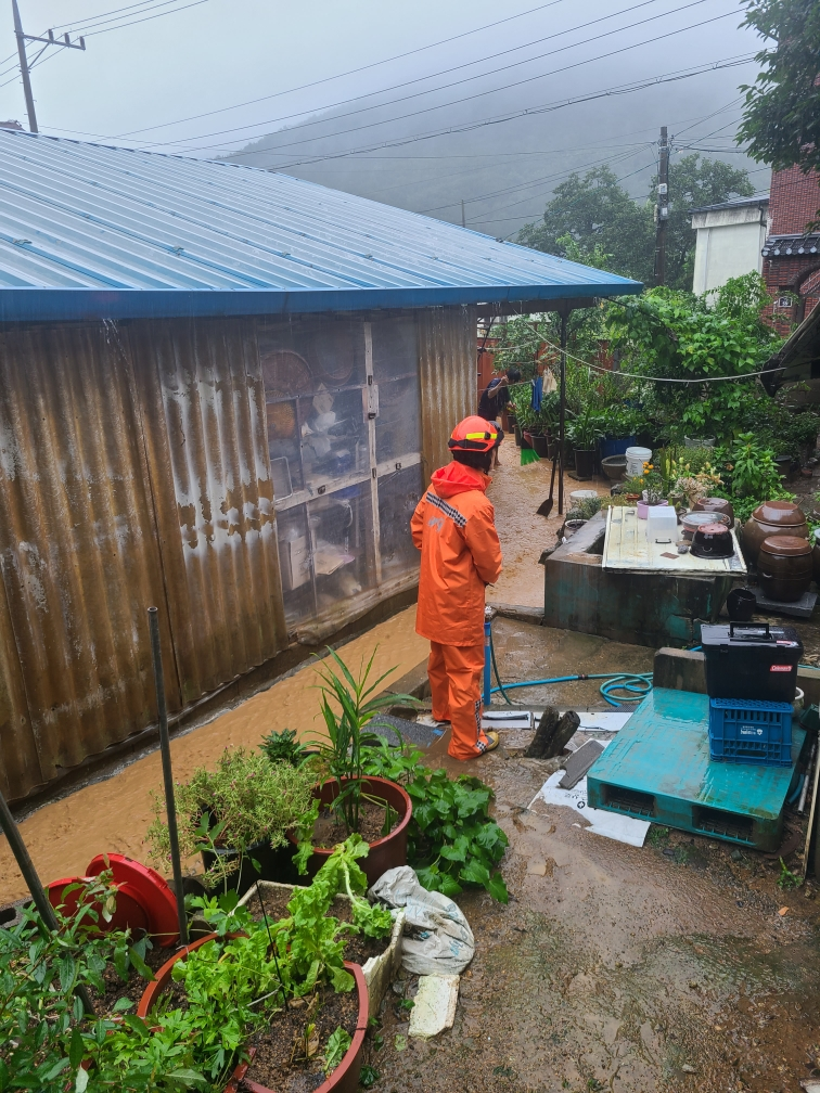 사진 제공 대구소방본부