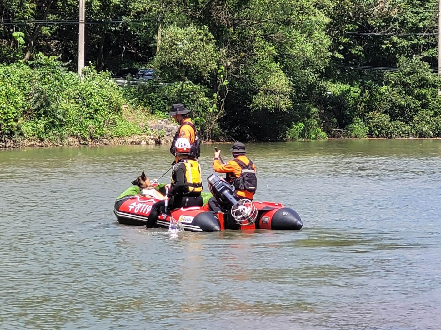 사진 제공 대구 소방본부