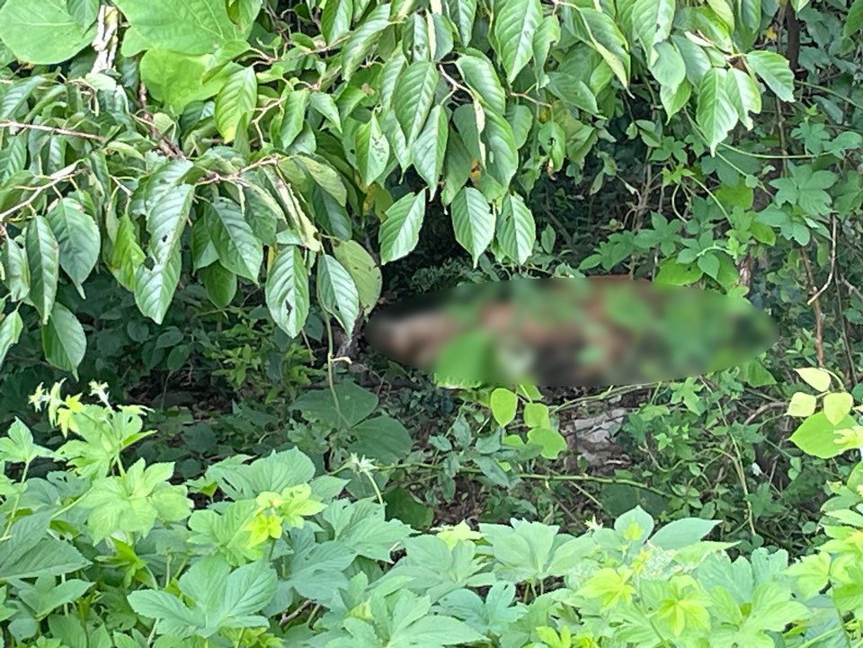 사진 제공 경북소방본부