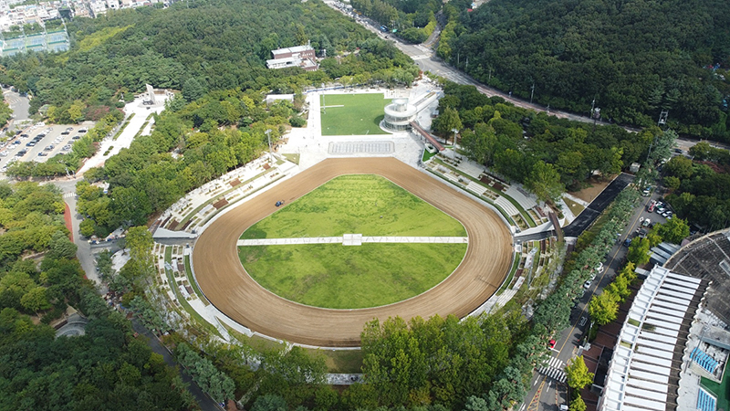 사진 제공 대구시