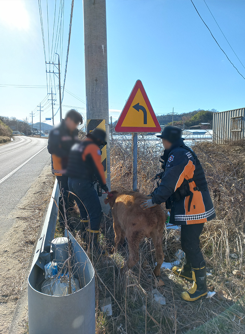 사진 제공 경북소방본부