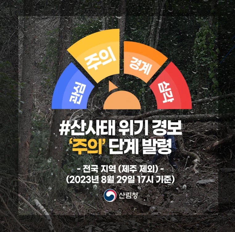 사진 제공 산림청