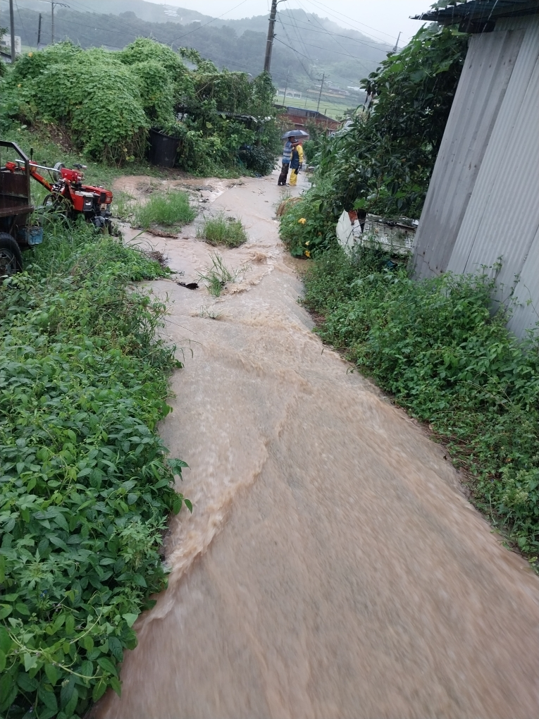 화면 제공 경북소방본부