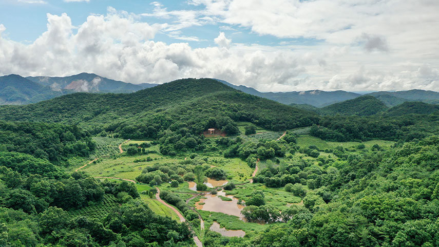 사진 제공 경북도청
