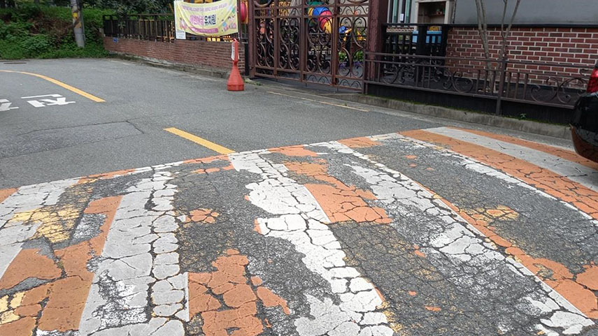 사진 제공 대구안전생활실천시민연합