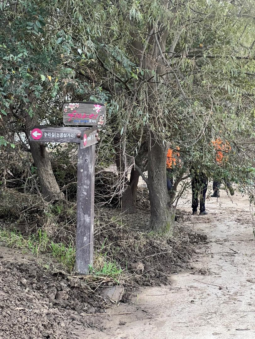 사진 제공 대구소방본부