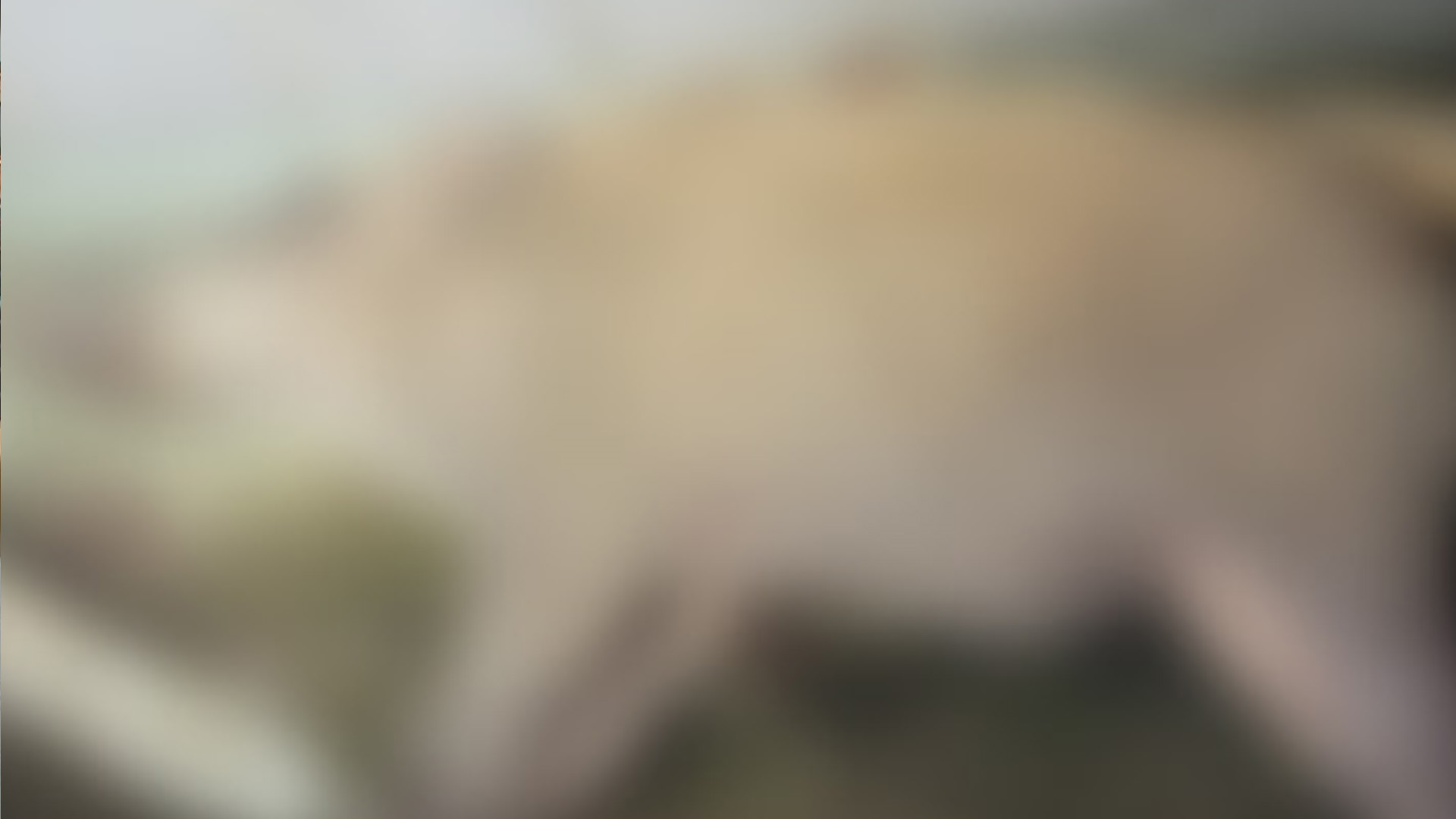 사진 제공 경산시청