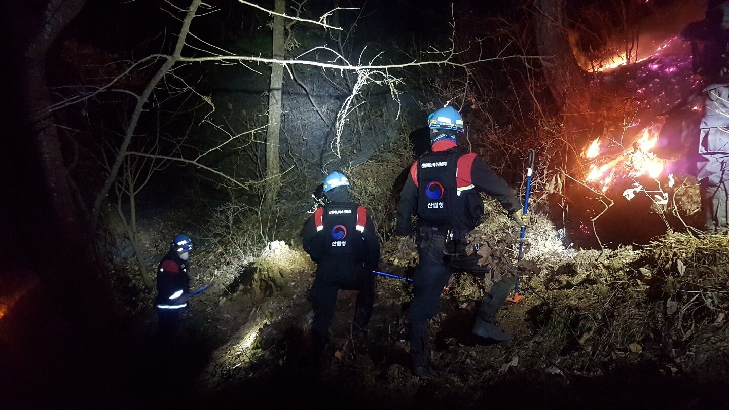 사진 제공 산림청