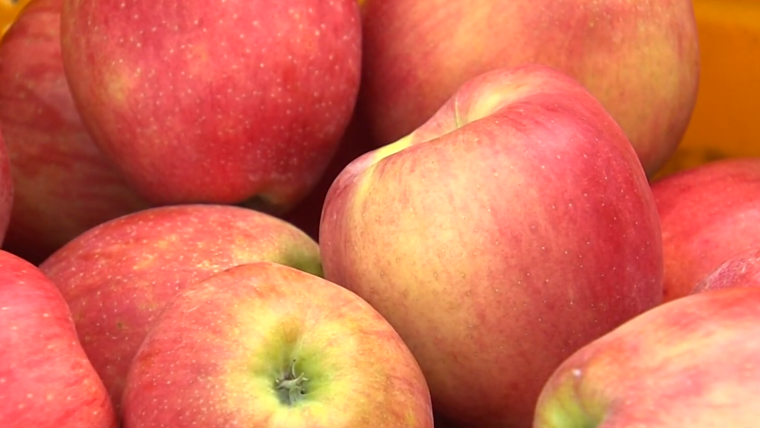 위 사진은 기사 내용과 관련이 없습니다