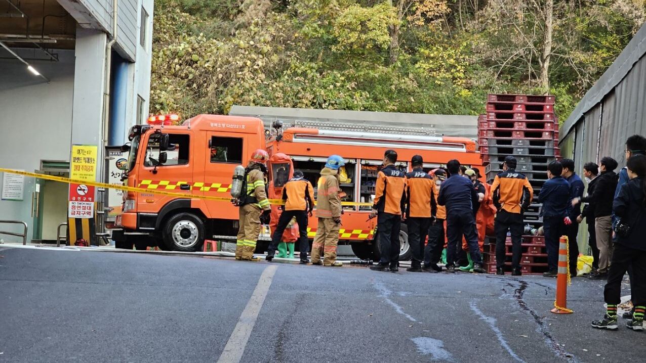 사진 제공 경북 고령군청