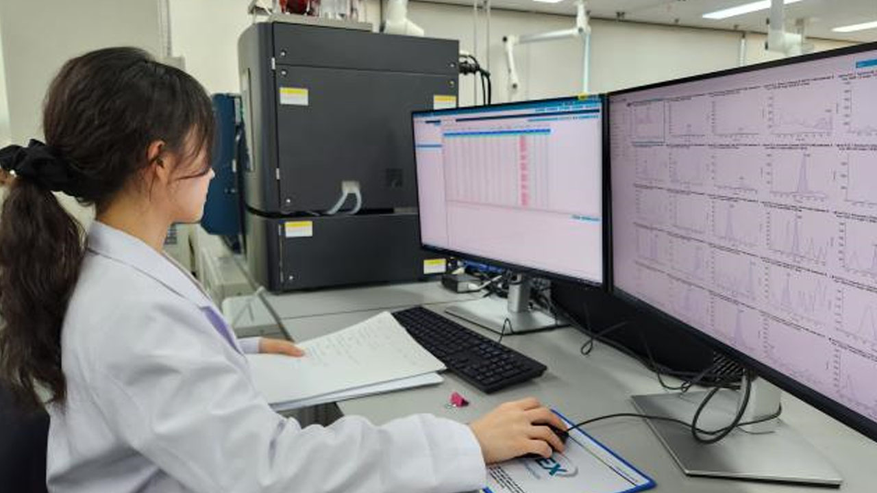 사진 출처 대구시