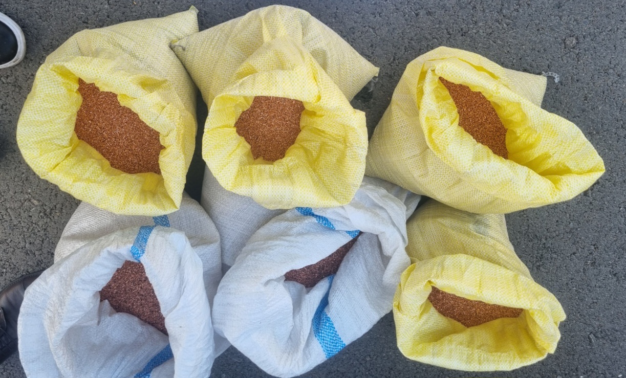 사진 제공 고령경찰서