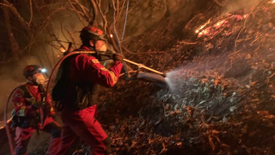 사진 제공 산림청