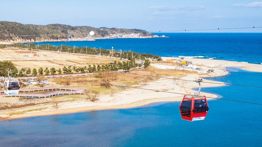 사진 출처 경북 울진군